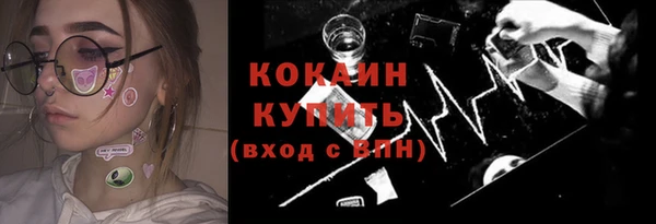 стаф Кулебаки